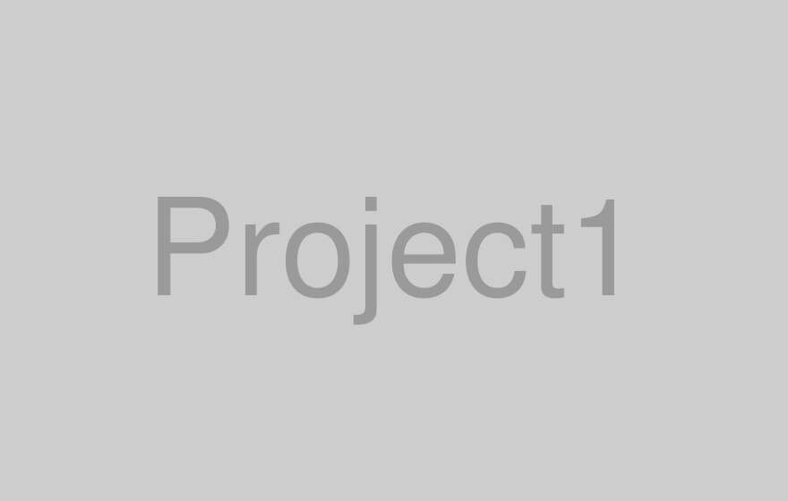 project1