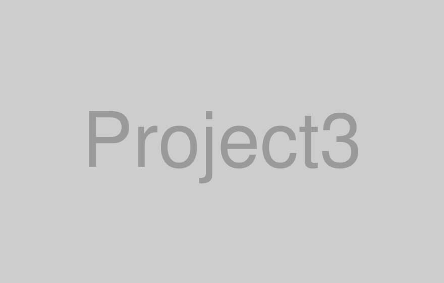 project3